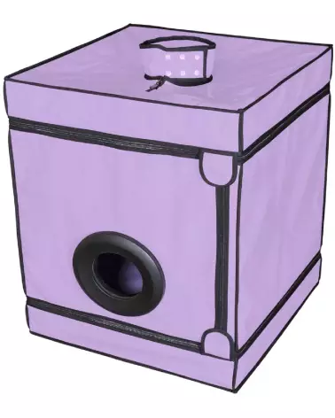 Image du meuble Bukkake Purple de Secret Dome, design moderne et élégant-3