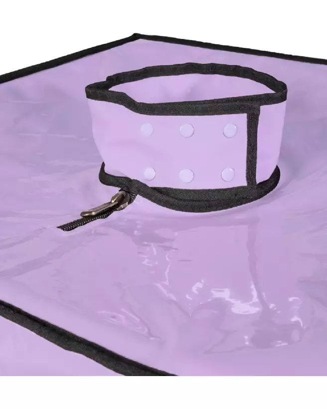 Image du meuble Bukkake Purple de Secret Dome, design moderne et élégant-7
