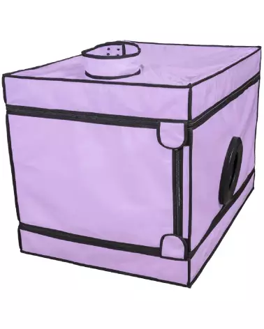 Image de la Niche Purple de Secret Dome, meuble élégant et moderne pour intérieur-2