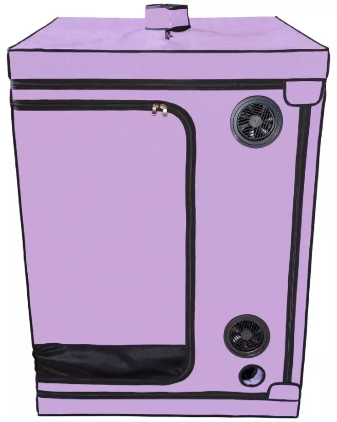 Image du meuble Scandale Purple de Secret Dome - Design élégant et moderne-3