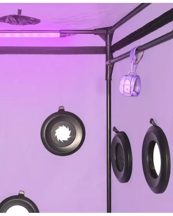 Image du meuble Scandale Purple de Secret Dome - Design élégant et moderne-5