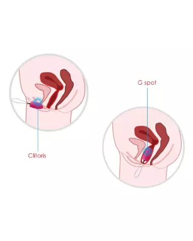 Oeuf vibrant Elva Plum Red SVAKOM avec télécommande pour plaisir discret-6