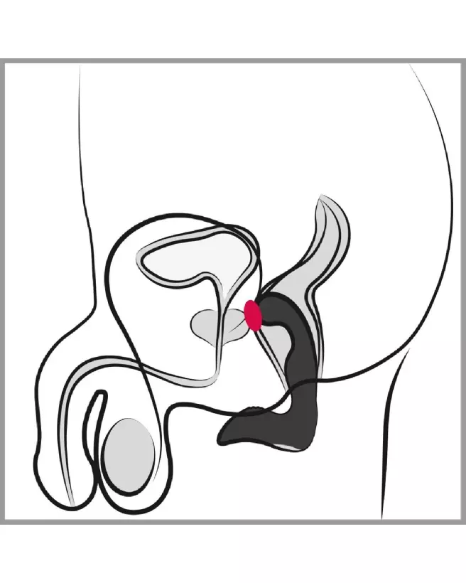 Rebel Prostate Plug rechargeable pour stimulation prostatique efficace-7