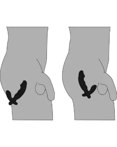 Image du stimulateur de prostate Rebel Cock-Shaped Vibe pour une stimulation intense et réaliste-5