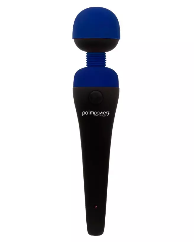 Image du Palmpower Recharge Blue, massager vibrant pour relaxation et détente musculaire-2