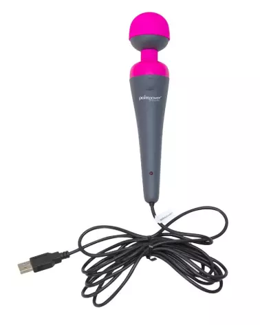 Image de Palmpower Plug & Play, masseur électrique efficace et silencieux-2