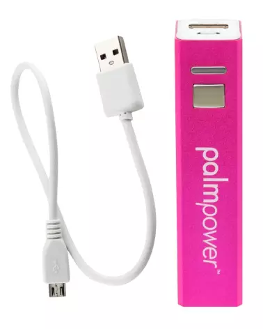 Image de Palmpower Plug & Play, masseur électrique efficace et silencieux-4