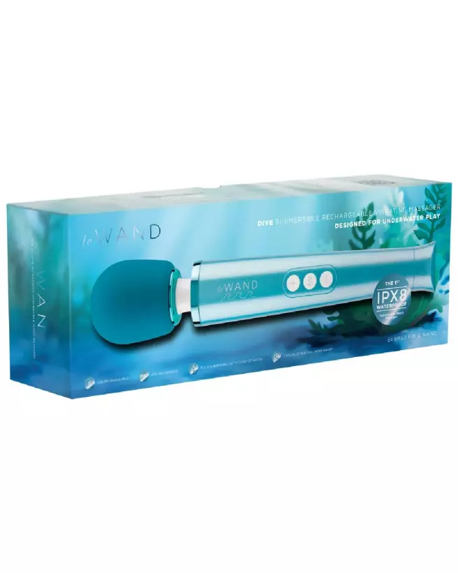 Image du Wand Dive de Le Wand, masseur puissant et élégant pour une expérience de relaxation et de plaisir intensifiés-1
