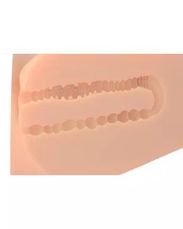 Image du masturbateur PDX Plus EZ Bang Torso Light, haute qualité et réalisme-6