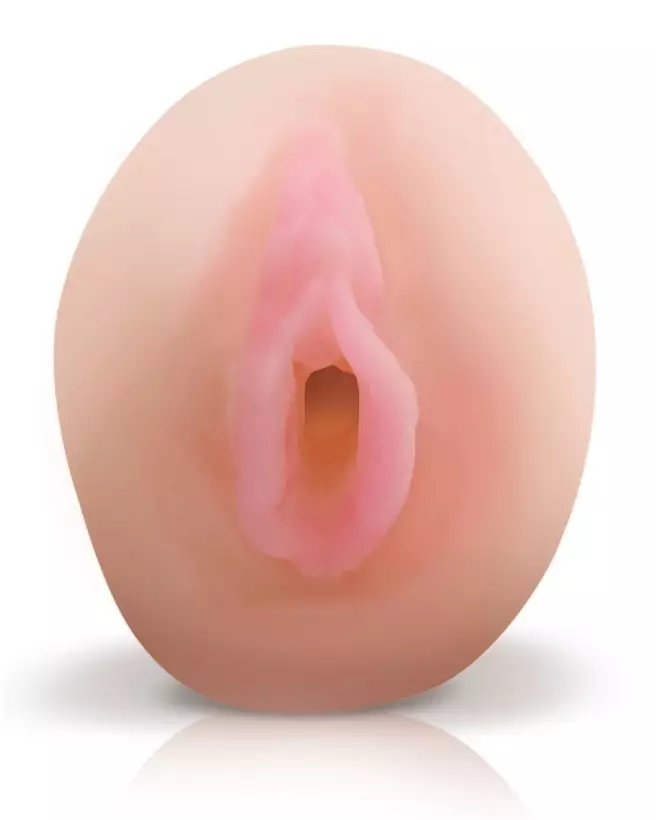 Masturbateur PET Tuna Taco de Pipedream Extreme Toyz pour expérience réaliste-3