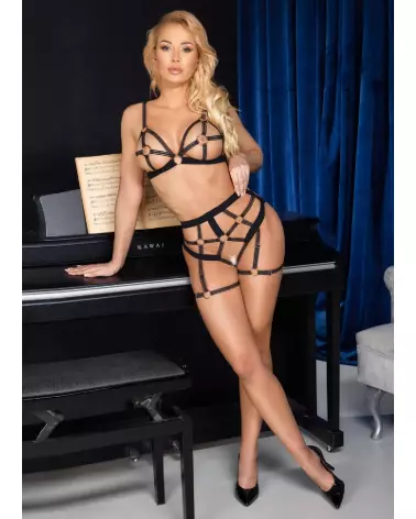 Photo de l'ensemble Bra Set Open de Cottelli LINGERIE, lingerie élégante et séductrice-5
