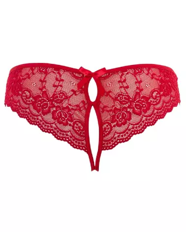 Lace Briefs Crotchless de Cottelli LINGERIE en dentelle fine-6