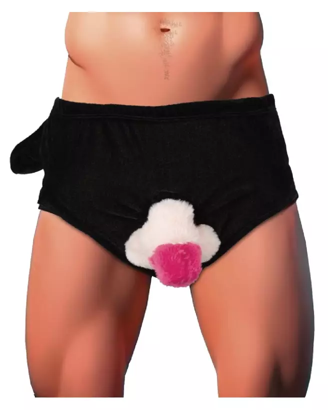 Briefs with Inflatable Penis for a Humorous Gag Gift-2
