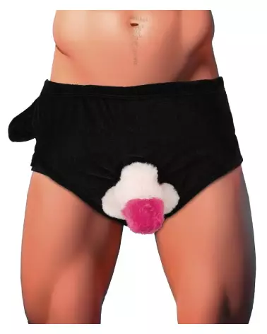 Briefs with Inflatable Penis for a Humorous Gag Gift-2