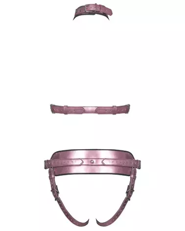 Image du BK StrapOn Set de Bad Kitty, combinaison fetish élégante et ajustable pour BDSM-6