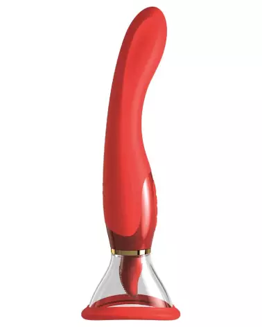 Image FFH Her Ultimate Pleasure Holi, pompe à vagin et stimulation de Fantasy For Her-2